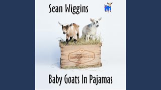 Baby Goats in Pajamas [upl. by Cung]