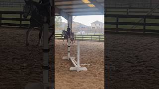 i was doing pretty good then i went to far forward and lost balance😭  equestrian hunterjumper [upl. by Anirpas]