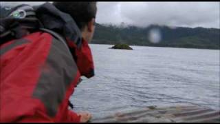 Man vs Wild  Alaska  Whale Watch [upl. by Knah607]