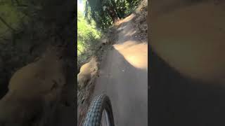 Soquel Demo state forest 101724 [upl. by Good]