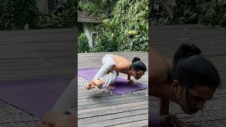 Advance Vinyasa flow  Downward Facing Dog  Ashtvakra asana [upl. by Kirrad]