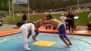 Zieleniecki vs Koklayev SUMO [upl. by Bradlee198]