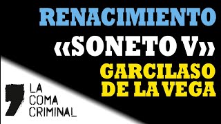 Soneto V  Garcilaso de la Vega Comentario de texto resuelto Lengua Castellana y Literatura [upl. by Nysila]