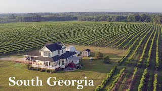 House in the Vineyards Familyowned Winery in South Georgia [upl. by Ived]