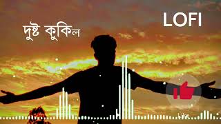 দুষ্টু কুকিল LOFI Song dusto kukil [upl. by Dinny]