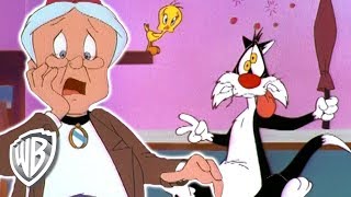 Looney Tunes en Latino  La impostora de la Abuelita  WB Kids [upl. by Sharpe]