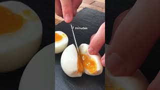 Exactly How To Boil Your Eggs [upl. by Rizas38]