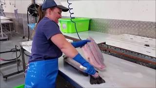 Fishwife Filleting Baramundi [upl. by Hanley]