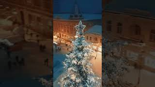 Christmas In Košice Slovakia  Kosice Slovakia 4K  Slovakia Walking  shorts [upl. by Nylimaj]