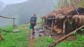 Beautiful Nepali Mountain Village Life  Daily Activity Of Shepherd Life  Organic Shepherd Food [upl. by Eirol]