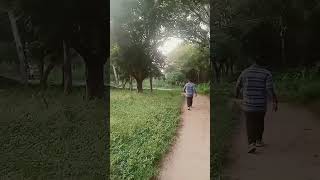 Walking track🚶🚶🚶🚶 bhel walking [upl. by Marcellina]