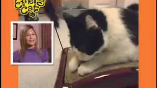 Emery Cat Scratching Board Commercial [upl. by Bate]