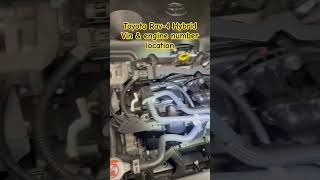 Find Out Where Your Toyota Rav4s Chassis Number Is Located with This Helpful Video PrimeTechauto [upl. by Nitnert358]