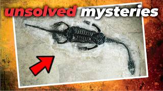 20 Unsolved Mysteries That Cannot Be Explained  Compilation [upl. by Perot529]