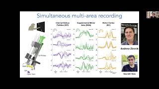 2024 331 Neuropixels across species NHPs Trautmann [upl. by Kovacs]