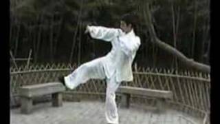 陳式太極拳発勁練習Chen Style fajin practice [upl. by Ttegirb]