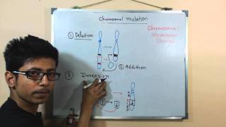 Chromosomal mutations  deletion mutation [upl. by Harlan]