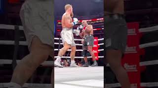 Jake Paul vs Mike Tyson gli Highlights da dentro il ring [upl. by Lukey]