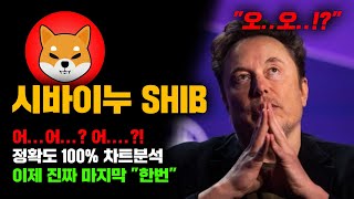 시바이누 SHIB 긴급 이제 진짜 기회는 quot딱한번quot 남았음 정확도 100 차트분석 영상 필수시청 코인시황 [upl. by Jeuz]