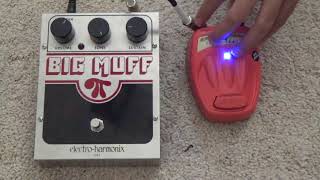 EHX Big Muff vs Danelectro Cool Cat Fuzz V1 [upl. by Iot]