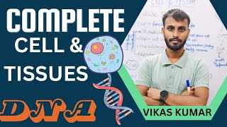 Complete Cell and Tissue Cell ampTissue DNA amp PROTEINS Mitosis [upl. by Atekram]