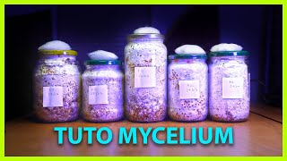 🍄 Comment FABRIQUER son MYCÉLIUM sur grain   Tuto [upl. by Enneles]