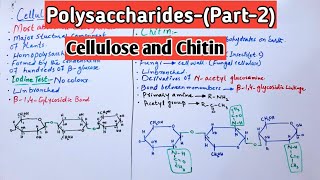 PolysaccharidesCellulose amp Chitin Jiyas Biology Tutorials [upl. by Hildebrandt]