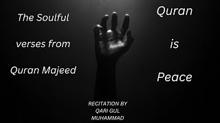 THE SOULFUL VERSES FROM QURAN MAJEED RECITATION BY QARI GUL MUHAMMADlongvideo peace quran [upl. by Salene]