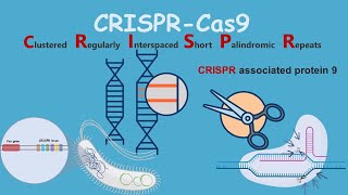 CRISPRCas9  Introduction and discovery [upl. by Arakaj]