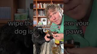 Dog won’t stop licking his paws Awesome Home Remedy [upl. by Mohr]