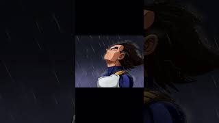 Vegeta in rain [upl. by Eizdnil]