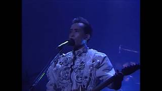 Susumu Hirasawa  QUIT Live 1990 [upl. by Phare]