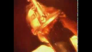 SHINE  Ashbury  Live in Paris  Sax solo [upl. by Genie202]