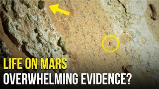 Perseverance Finds Evidence of Life on Mars This Rock Shocked NASA [upl. by Rendrag272]