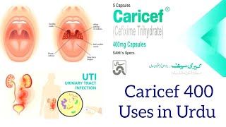 Caricef 400 mg capsules uses in urdu  Caricef capsules [upl. by Aniweta16]