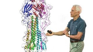 Stephen Harrison Harvard Part 2 Viral membrane fusion [upl. by Eugenides]