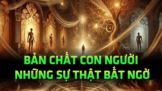 Khám Phá Bản Chất Con Người Những Sự Thật Bất Ngờ [upl. by Freed]