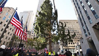 🔴 New York City LIVE – Midtown Manhattan – Rockefeller Center Christmas Tree – Central Park Carousel [upl. by Akirat]