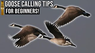 Goose calling on the Molt Gear MG RUSH [upl. by Adirem]