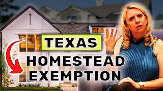 Homestead Exemption Explained 2024  You Need TO Know This Now [upl. by Serles]