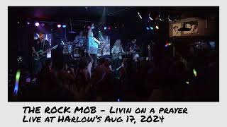 Live at Harlows  The Rock Mob  Aug 17 2024 [upl. by Hiett]