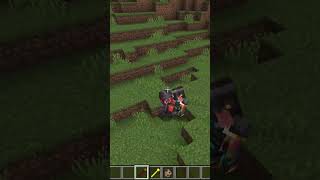 Minecraft piglin vs piglin in Netherite gear normal Vs veteran shorts short shortvideo [upl. by Herod28]