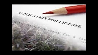 Marijuana Law in Michigan  Everything You Need to Know [upl. by Bathelda]