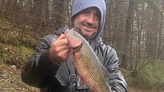 Full video of my very close to Vermont state record fallfish [upl. by Iggie127]