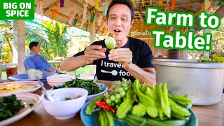 Thai Food  Backyard Food Farm 100 Edible Ingredients Garden in Chiang Rai Thailand [upl. by Ludeman]