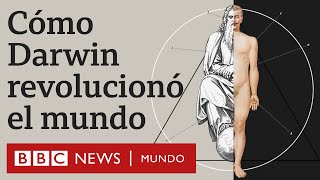 Evolución vs Dios por qué la teoría de Darwin fue revolucionaria  BBC Mundo [upl. by Lrac]