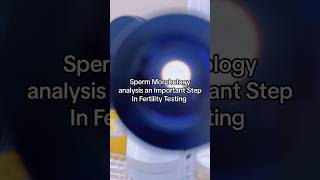 Sperm Morphology  Semen Analysis sperm semenhealth fertility infertility [upl. by Flanders]