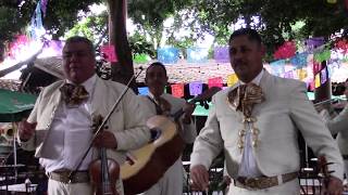 Mariachi Tlaquepaque â€“ Guadalajara Mexico [upl. by Linder]