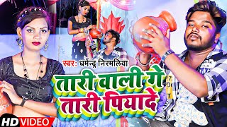 Tari Wali Tari Piyade New Version Video 2024  Dharmendra Nirmaliya Ka New Maithili Video Song 2024 [upl. by Simara]