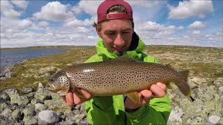 Fiske på Hardangervidda 2017 [upl. by Ognimod460]